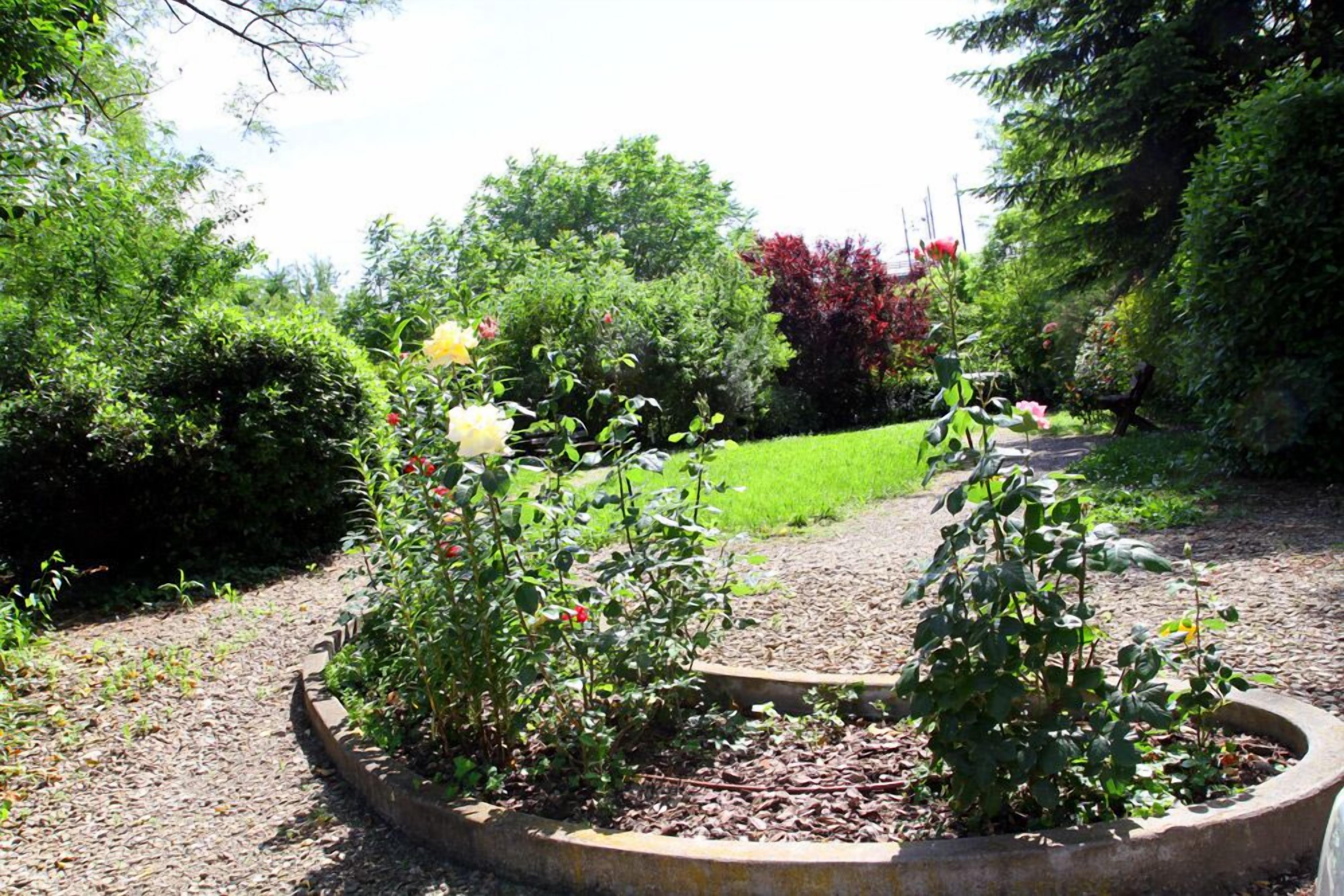 Borgo Al Navile B&B - Bologna, Bologna